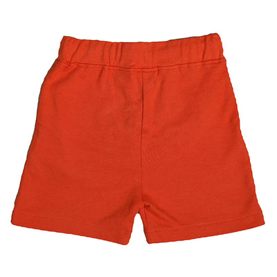 The Smart Cookie Shorts