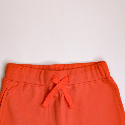 The Smart Cookie Shorts